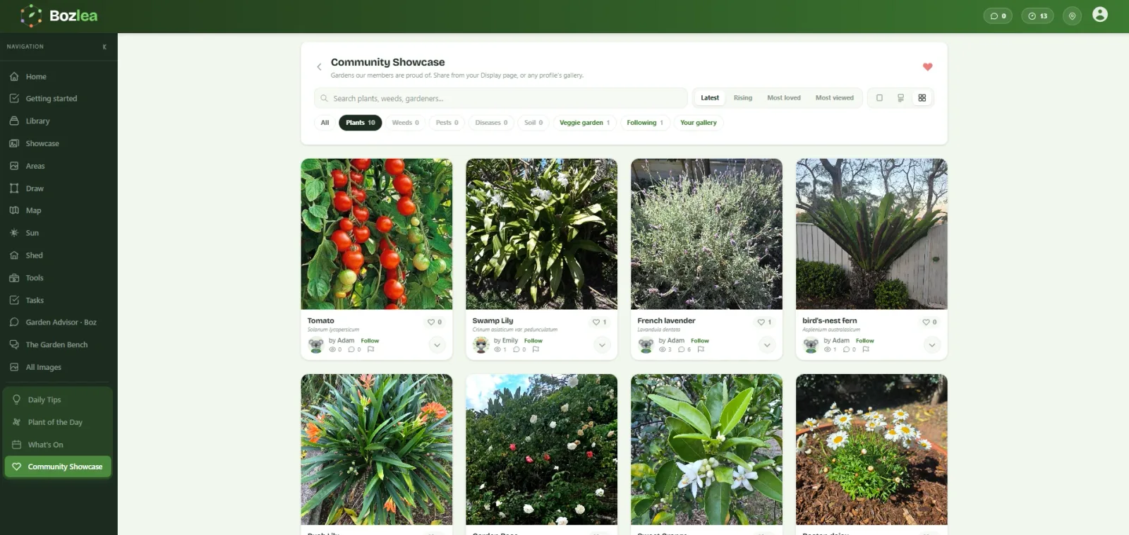 Community Showcase: gardens other members are proud of.