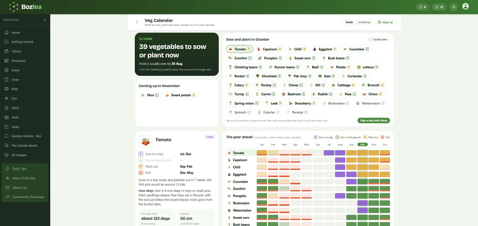 Veg Calendar: what to sow, plant out and pick this month, worked out for your own climate.